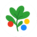 Ícone